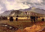 Albert Bierstadt Moat Mountain, Intervale, New Hampshire oil